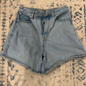Everlane A Line Denim Short